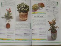 Pokojové rostliny - Rostliny v bytě - Podrobný průvodce pěstováním pokojových rostlin ...