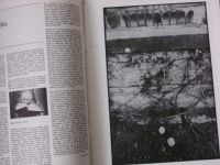 Československá fotografie 1-12 (1988) ročník XXXIX. (chybí č. 1, 6, 7, 9, 10, celkem 7 čísel)