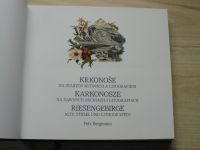 Petr Bergmann - Krkonoše na starých rytinách a litografiích - Karkonosze - Riesengebirge