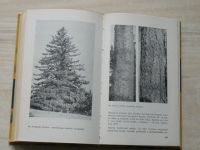 Pokorný - Jehličnany lesů a parků (1963)