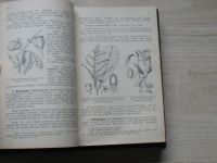 Polívka - Užitkové a pamětihodné rostliny cizích zemí (1908)