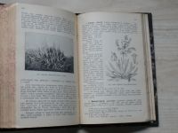 Polívka - Užitkové a pamětihodné rostliny cizích zemí (1908)
