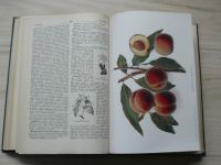 Zahradnický a ovocnicko-vinařský slovník naučný I. II. III. s dodatky (1934) kompletní