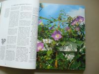 Halina Heitzová - 1000 nejkrásnějších rostlin pro zelený domov (1997)