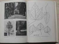 Hieke - Moravské zámecké parky a jejich dřeviny (1985)