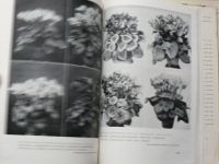 Böhmig- Die Gattung Cyclamen - Rod Brambořík - Zahradnická praxe