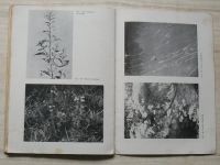 Květy rybníků a tůní - doplňková četba přírodopisná pro školy 2. a 3. stupně