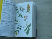 Svět rostlin - 1150 květin, trav, travin, stromů a keřů střední Evropy