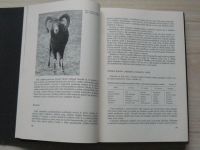 Lochman, Kotrlý, Hromas - Dutorohá zvěř (SZN 1979)