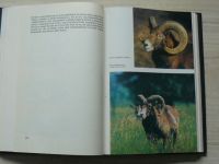 Lochman, Kotrlý, Hromas - Dutorohá zvěř (SZN 1979)