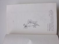 Stručný přehled sasanek rod Anemone L. čeleď Ranunculaceae