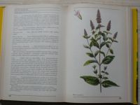 Korbelář - Naše rostliny v lékařství (1970)