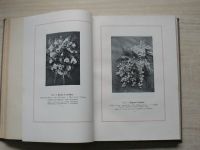 Vaněk - Moderní vazačství květin. (1928)