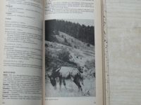Jirásko, Leder, Lorenc - Průvodce Olympia - Jugoslávské hory (1987)