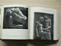 Aristide Maillol - Rozhovory o umění (1965)