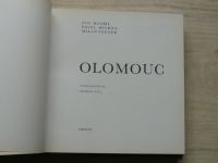 Hlobil, Michna, Togner - Olomouc (1984) 37. svazek edice Památky