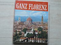 Ganz Florenz : alle Sehenswürdigkeiten, Kirchen, Paläste, Galerien, Museen, die Umgebung