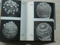 Fleischer, Schütz - Pěstování kaktusů (1969)