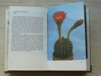 Jelínek - O kaktusech (1980)