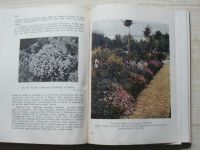 J. Vaněk - Nejkrásnější ozdobou zahrady jsou pereny (1925)