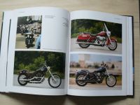 Leyla - Žijící legenda - Dějiny značky Harley-Davidson