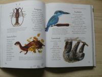 Velká obrázková knížka o zvířatech - 260 zvířat od A do Z