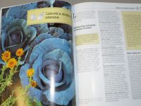 H. Suter, C. Graber - Zelenina z vlastní zahrady (1998)