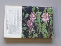 Čestmír Böhm - Okrasné listnáče našich zahrad (1985)
