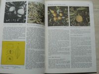 Hušák, Táborský, Valíček - Pěstování citrusů (SZN 1987)