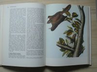 Leakey - Darwinův původ druhů v ilustracích (1989)
