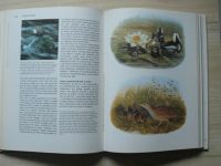 Leakey - Darwinův původ druhů v ilustracích (1989)