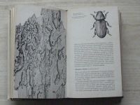 Kudela - Atlas lesního hmyzu - škůdci na jehličnanech (1970)