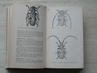 Kudela - Atlas lesního hmyzu - škůdci na jehličnanech (1970)