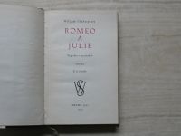 Romeo a Julie Tragedie v 24 scénách