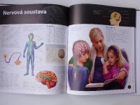 Velká encyklopedie s 3D obrázky - Lidské tělo (2018) + brýle