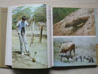 Zora Feriancová-Masárová - Potulky po východnej Afrike (1983)