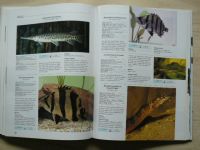 Velká obrazová encyklopedie akvarijních ryb obsáhlý přehled exotických sladkovodních a mořských druhů