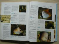 Velká obrazová encyklopedie akvarijních ryb obsáhlý přehled exotických sladkovodních a mořských druhů