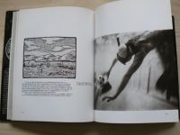 Všetečka - Všenáprava obrazem (1987) Kniha fotografií na motivy díla J. A. Komenského