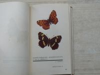 Starý, Zejbrlík - Naši motýli (1943)