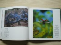Wildlife Photographer of the Year - Portfolio Four (1994)