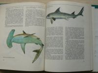Dmitrijev - Ryby známé i neznámé, lovené, chráněné (1990)