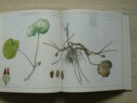 Ako sa rozmnožujú a rozširujú rastliny (1987)