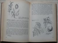 Hendrych - Systém a evoluce vyšších rostlin (1986) Učební přehled
