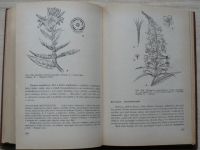 Hendrych - Systém a evoluce vyšších rostlin (1986) Učební přehled