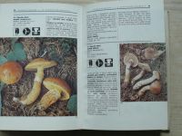 Kluzák, Smotlacha, Erhartovi - Poznáváme houby (1985)