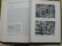 Sládeček - Buňky a tkáně živočichů (1987)