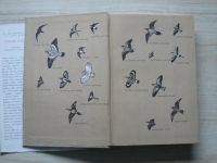 Hanzák, Hudec - Světem zvířat II. díl - Ptáci 1,2 (1974) 2 svazky