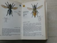 Javorek - Kapesní atlas dvoukřídlého hmyzu (1967)