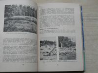 Campanula - Sborník Chráněné krajinné oblasti Jeseníky 1971